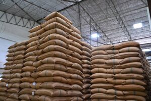 Rice Stored in Warehouse for Export