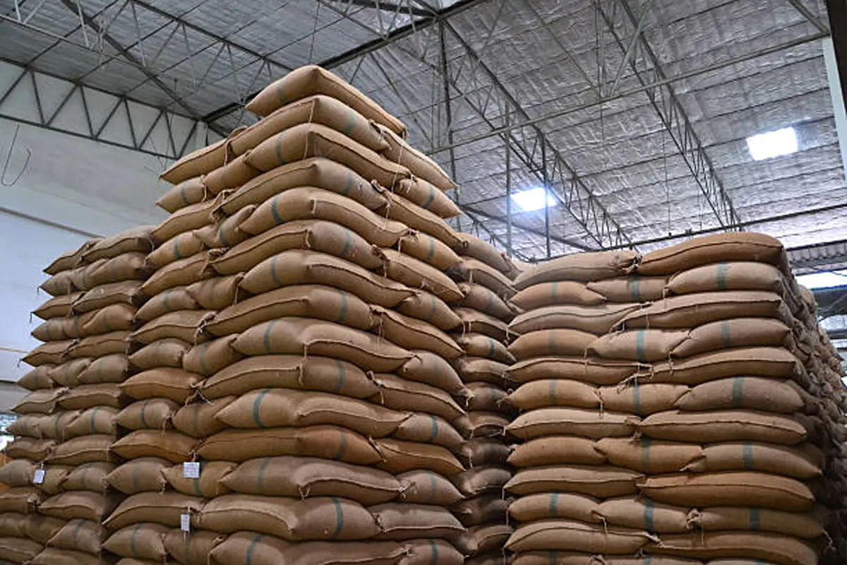 hemp sacks containing rice